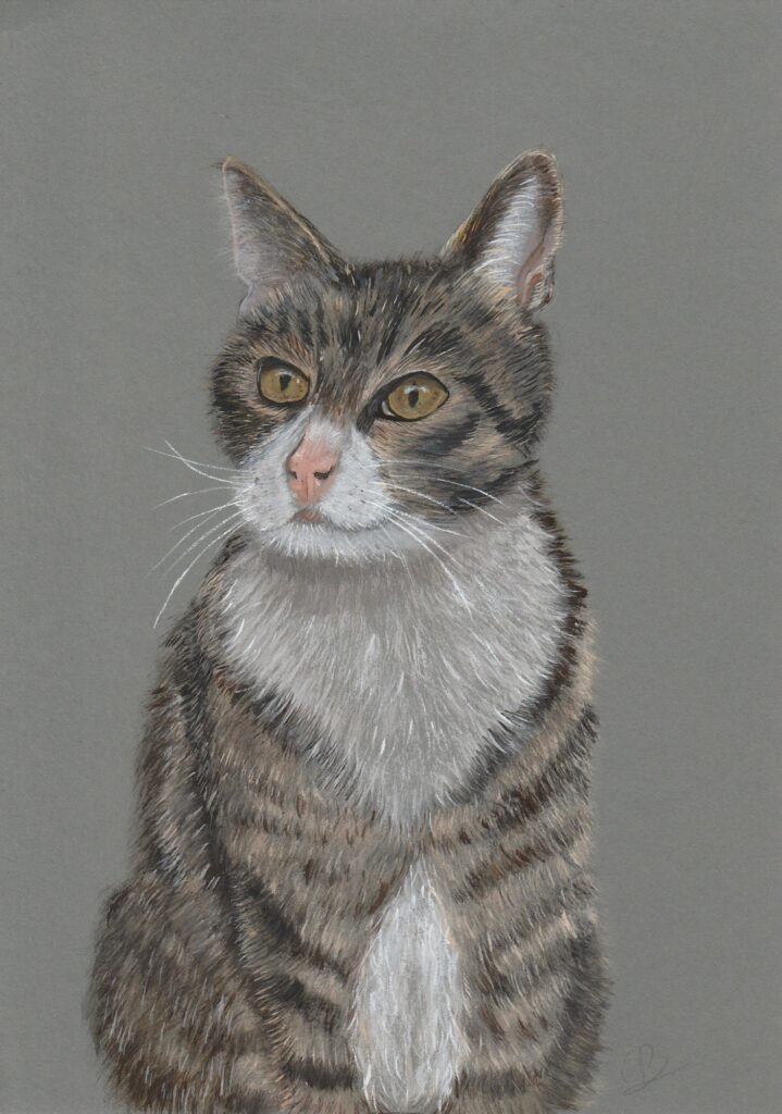 Handgetekend dierenportret: Toby, gemaakt in gouache